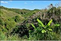 Dans les environs du village Yafu. (20)