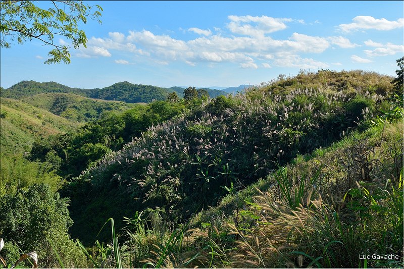 Dans les environs du village Yafu. (21)