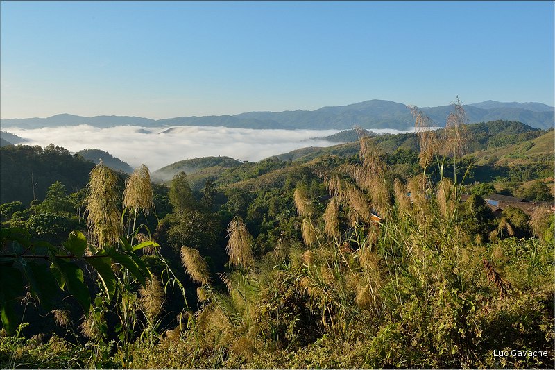 Dans les environs du village de Yafu. (1)