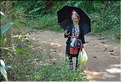 L'ethnie Akha est originaire du Laos et du sud de la Chine (Yunnan)  - Village d'Arpha. (5)