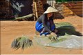 Scène de vie dans le village d'Arpha dans la région de Chiang Ra. (1)