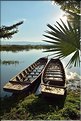 Le très ancien temple bouddhiste de Tilok Aram est situé sur une île au cur du Lac de Phayao. (4)