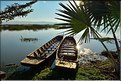 Le très ancien temple bouddhiste de Tilok Aram est situé sur une île au cur du Lac de Phayao. (5)