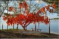 Le très ancien temple bouddhiste de Tilok Aram est situé sur une île au cur du Lac de Phayao. (7)