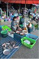 Dans les rues et au marché de Chiang Ra. (8)