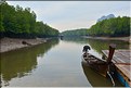 La Baie de Phang Nga côté mangrove. (1)