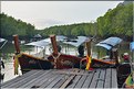 La Baie de Phang Nga côté mangrove. (2)