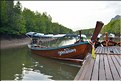 La Baie de Phang Nga côté mangrove. (3)