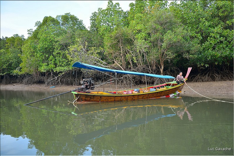La Baie de Phang Nga côté mangrove. (4)