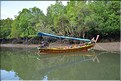 La Baie de Phang Nga côté mangrove. (4)