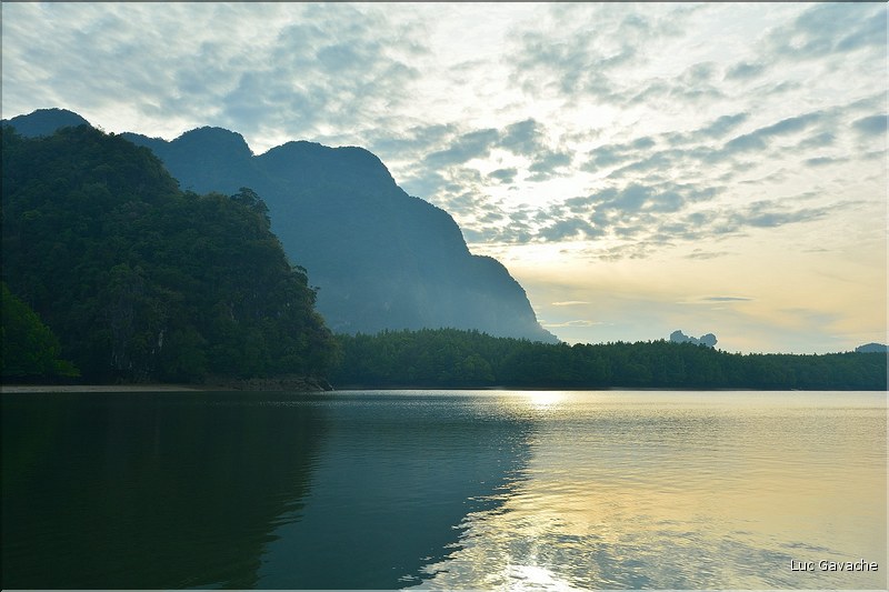 La Baie de Phang Nga côté mangrove. (6)