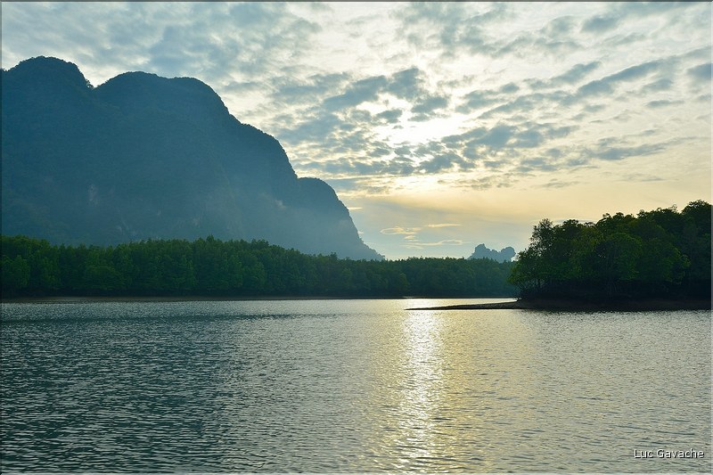 La Baie de Phang Nga côté mangrove. (7)