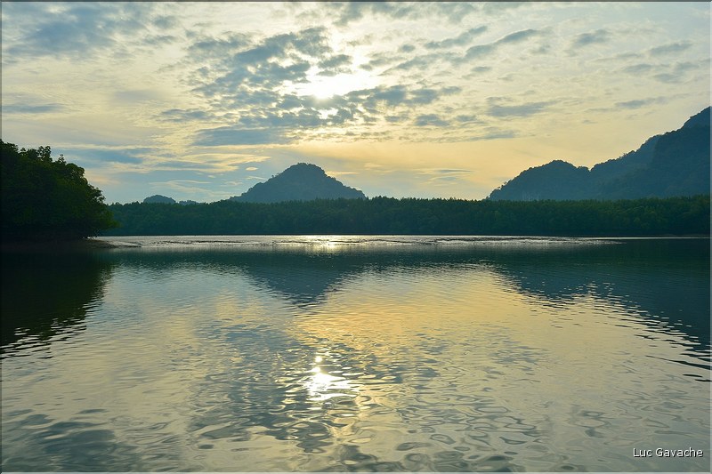 La Baie de Phang Nga côté mangrove. (8)