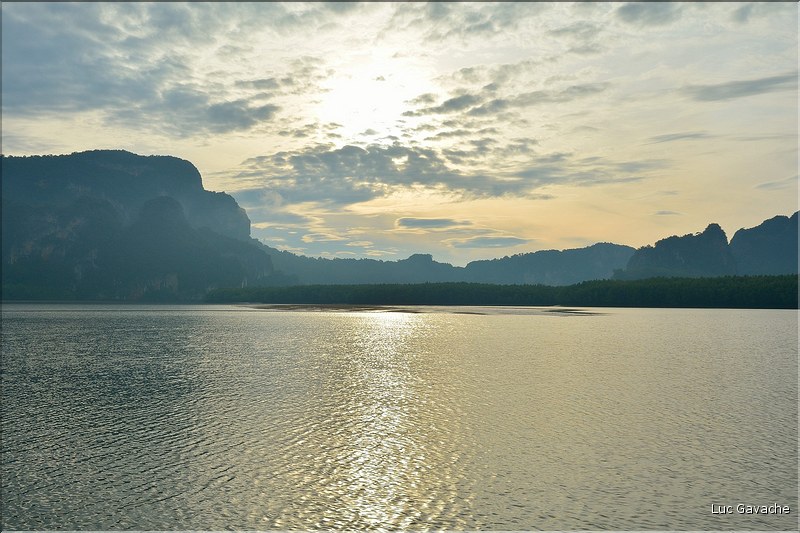 La Baie de Phang Nga côté mangrove. (9)