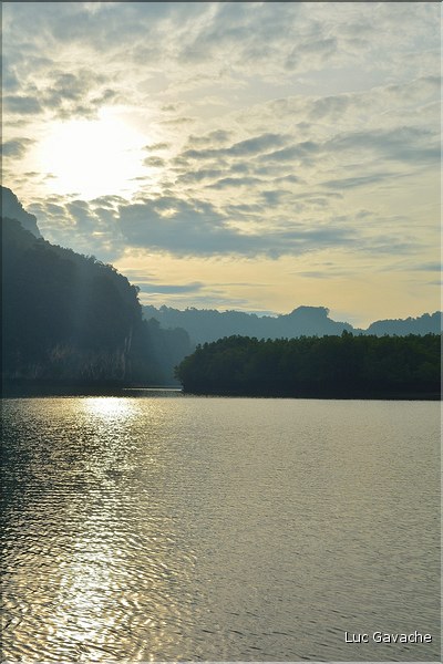 La Baie de Phang Nga côté mangrove. (10)