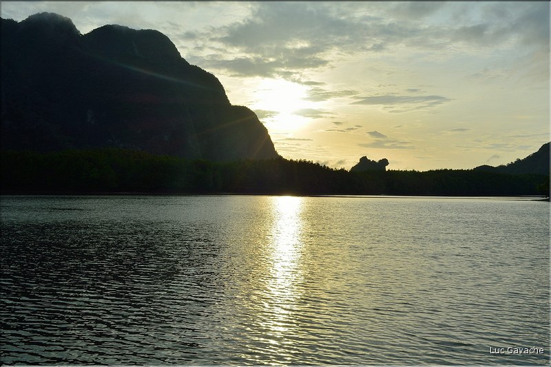 La Baie de Phang Nga côté mangrove. (12)