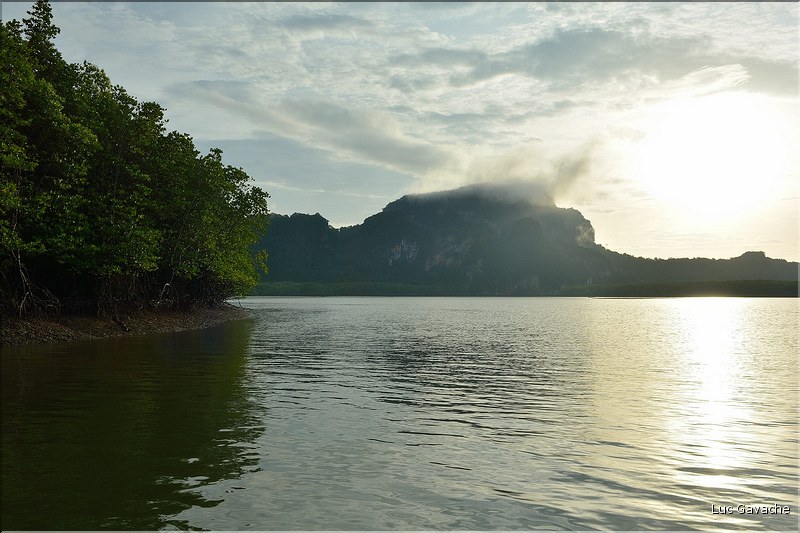 La Baie de Phang Nga côté mangrove. (14)
