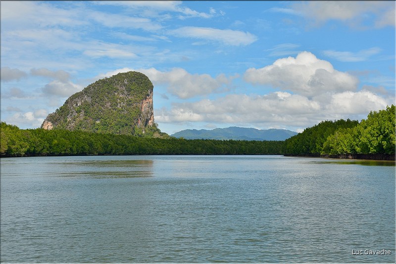 La Baie de Phang Nga côté mangrove. (22)