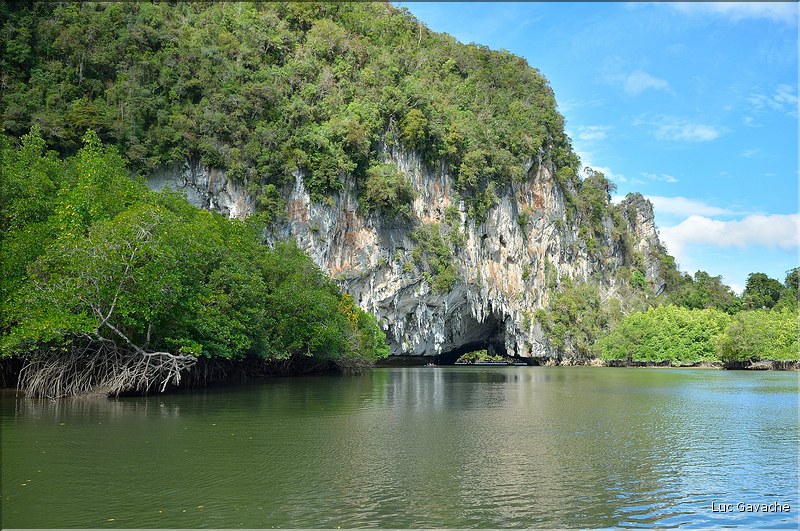 La Baie de Phang Nga côté mangrove. (23)