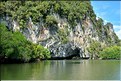 La Baie de Phang Nga côté mangrove. (24)