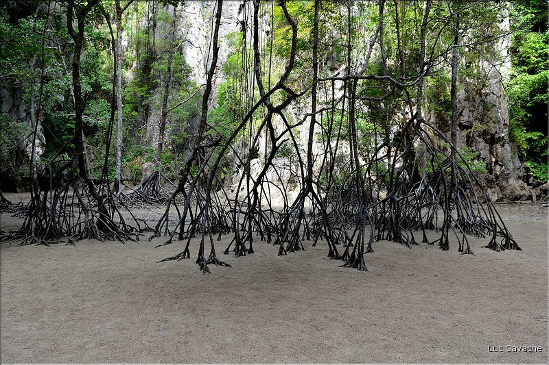 Au cur de la Baie de Phang Nga. (15)