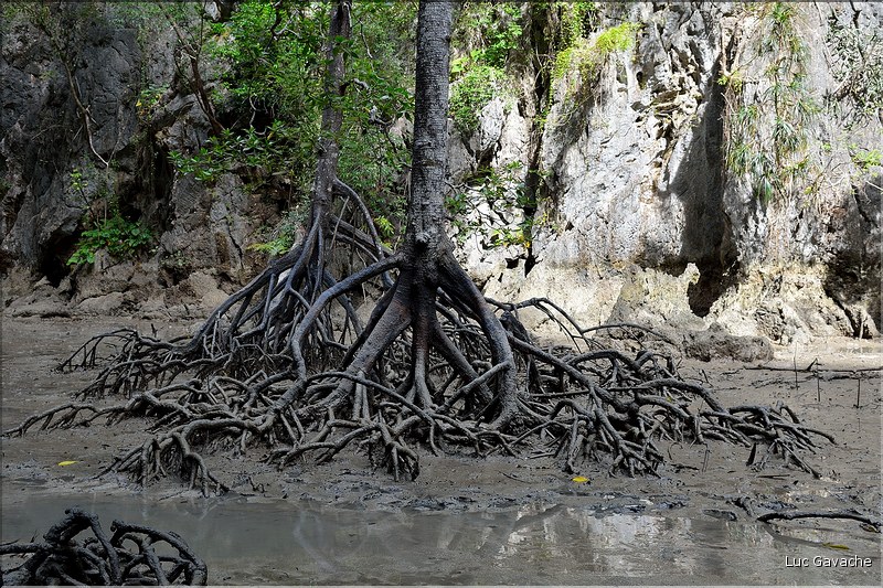 Au cur de la Baie de Phang Nga. (16)