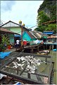 Le village lacustre de Ko Panyee  dans la Baie de Phang Nga est occupé par des gitans de la mer de confession musulmane. (39)
