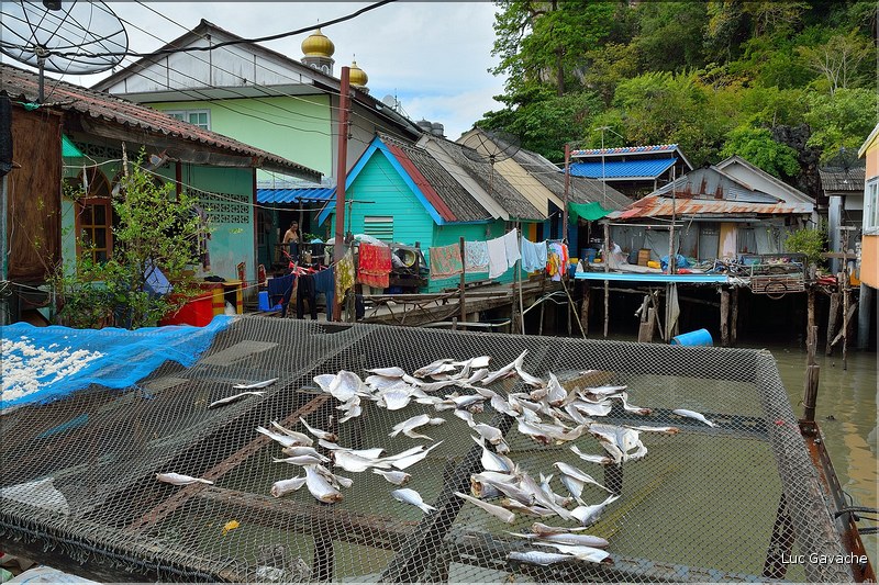Le village lacustre de Ko Panyee  dans la Baie de Phang Nga est occupé par des gitans de la mer de confession musulmane. (40)