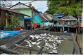 Le village lacustre de Ko Panyee  dans la Baie de Phang Nga est occupé par des gitans de la mer de confession musulmane. (40)