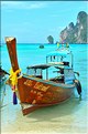 Baie de Ao Loh Dalum sur l'île de Ko Phi Phi Don. (16)