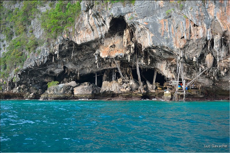 Phi Phi Ley, abrite une immense grotte oú les gitans de la mer vont extraire les nids dhirondelles dont les Chinois raffolent. (1)