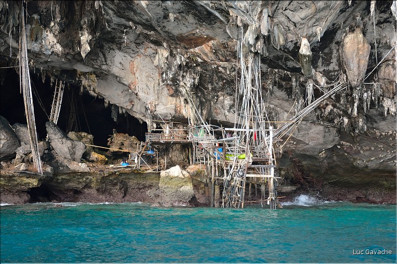 Phi Phi Ley, abrite une immense grotte oú les gitans de la mer vont extraire les nids d’hirondelles dont les Chinois raffolent. (2)