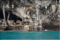 Phi Phi Ley, abrite une immense grotte oú les gitans de la mer vont extraire les nids dhirondelles dont les Chinois raffolent. (2)