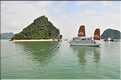 6 L'île de Ti Tôp, au cur de la Baie d'Halong, est l'une des rares à être accostable. (2)