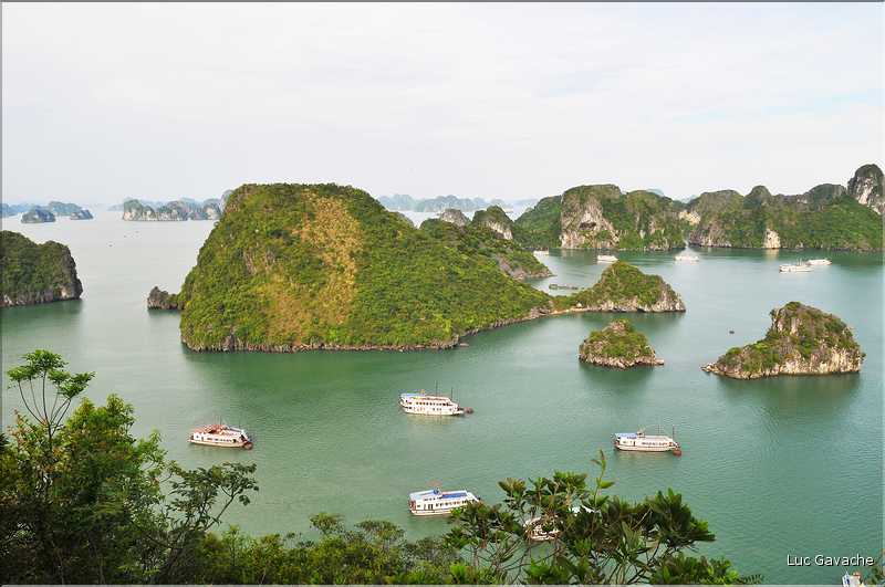 6 L'île de Ti Tôp, au cur de la Baie d'Halong, est l'une des rares à être accostable. (6)