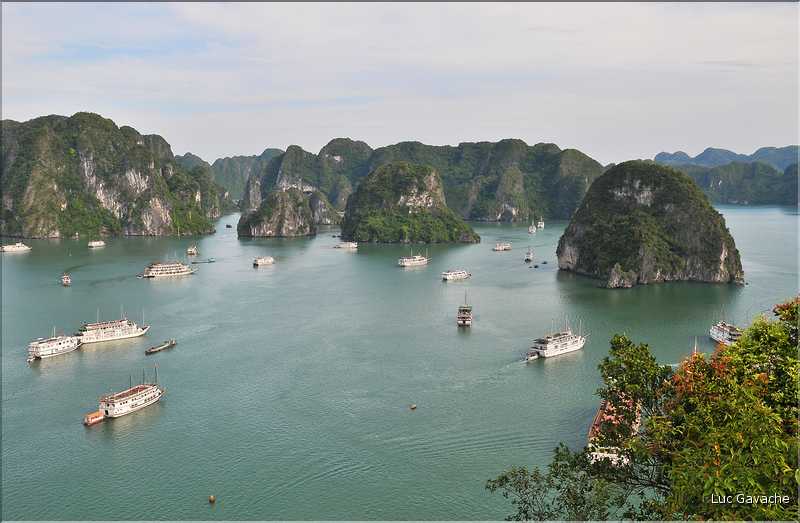 6 L'île de Ti Tôp, au cur de la Baie d'Halong, est l'une des rares à être accostable. (9)
