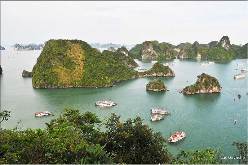 6 L'île de Ti Tôp, au cur de la Baie d'Halong, est l'une des rares à être accostable. (10)
