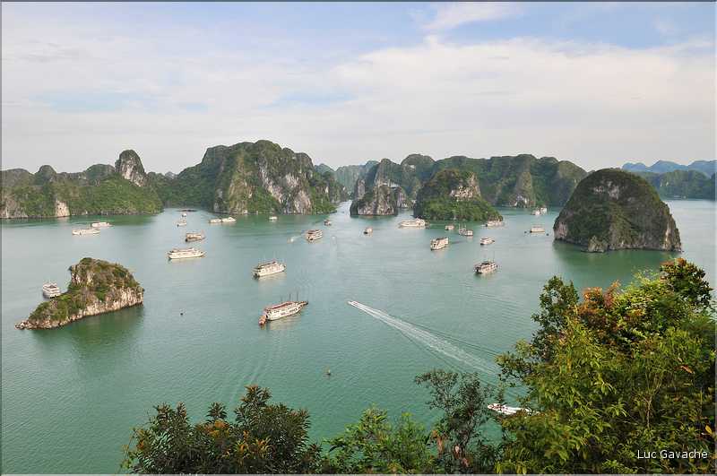 6 L'île de Ti Tôp, au cur de la Baie d'Halong, est l'une des rares à être accostable. (11)