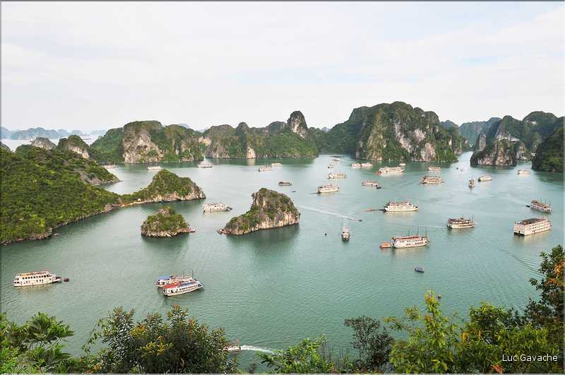 6 L'île de Ti Tôp, au cur de la Baie d'Halong, est l'une des rares à être accostable. (12)