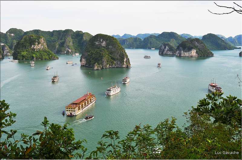6 L'île de Ti Tôp, au cur de la Baie d'Halong, est l'une des rares à être accostable. (13)