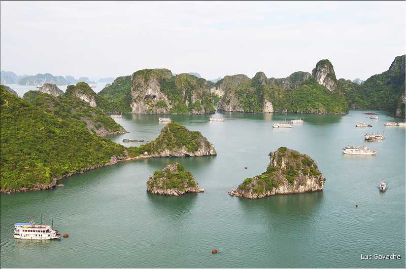 6 L'île de Ti Tôp, au cur de la Baie d'Halong, est l'une des rares à être accostable. (14)