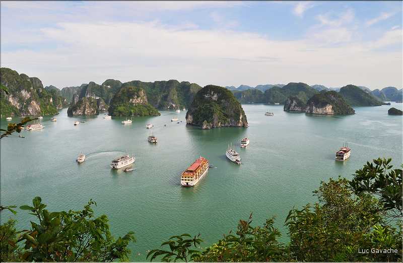 6 L'île de Ti Tôp, au cur de la Baie d'Halong, est l'une des rares à être accostable. (15)