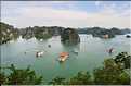 6 L'île de Ti Tôp, au cur de la Baie d'Halong, est l'une des rares à être accostable. (15)