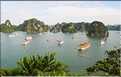 6 L'île de Ti Tôp, au cur de la Baie d'Halong, est l'une des rares à être accostable. (16)