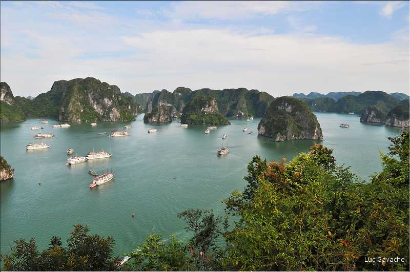 6 L'île de Ti Tôp, au cœur de la Baie d'Halong, est l'une des rares à être accostable. (17)