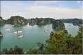 6 L'île de Ti Tôp, au cur de la Baie d'Halong, est l'une des rares à être accostable. (17)