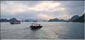 6 L'île de Ti Tôp, au cur de la Baie d'Halong, est l'une des rares à être accostable. (23)