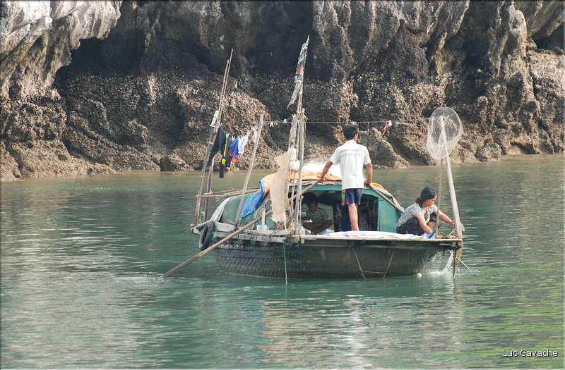 6 L'île de Ti Tôp, au cur de la Baie d'Halong, est l'une des rares à être accostable. (39)