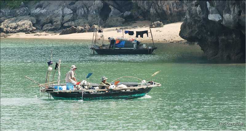 6 L'île de Ti Tôp, au cur de la Baie d'Halong, est l'une des rares à être accostable. (41)