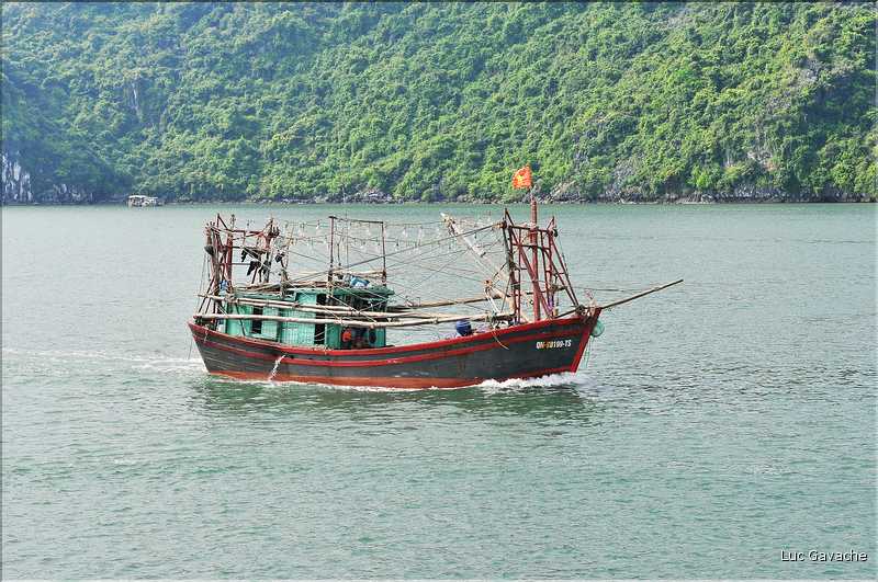 9 La baie d'Halong est composée de près de 2.000 îles sillonnées par des bateaux de pêcheurs, etc. (4)